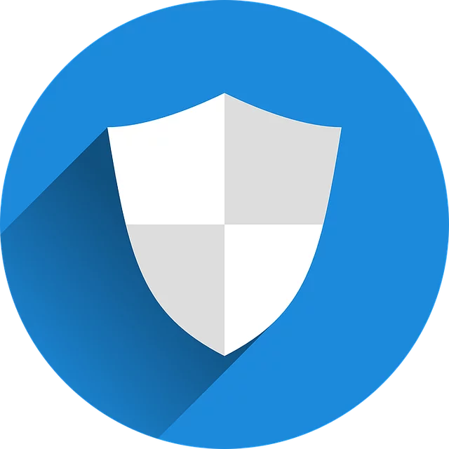 Securing Your Domain